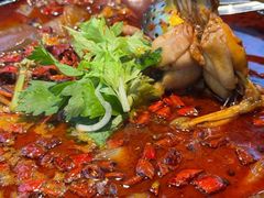 -蛙老爹·蜀香美蛙鱼头(王家湾店)