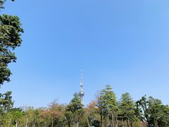 -文华公园(禅城区)