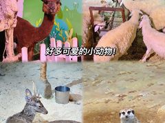 -正佳雨林生态植物园