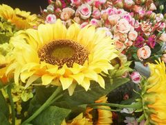 -重庆市江北嘴中央商务区中央公园