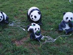 -北京鹿世界主题园