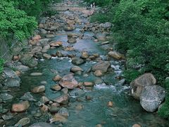 -海南热带雨林国家公园吊罗山景区