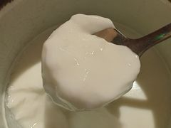 哈尔滨老酸奶-雪熊精酿·哈尔滨烧烤酒馆(非遗大串店)