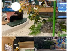 -帕帕拉兹宠物(亚洲旗舰店)