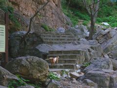 -京东石林峡风景区