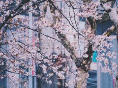 -上海南浦大桥长途旅游客运站