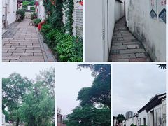 -青果巷历史文化街区