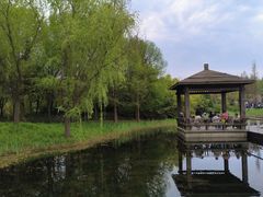 -同里国家湿地公园
