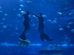 -南昌融创海世界