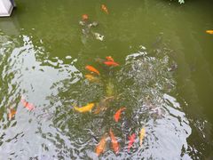 -上海城隍庙