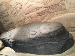 -白鹤梁水下博物馆
