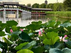 -西海子公园