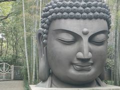-杭州植物园