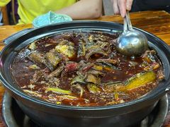 -金海椒罐罐鲢鱼(东方桂苑店)