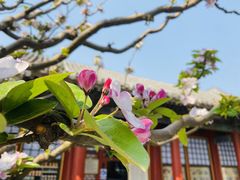 -颐和园