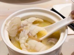 -港升鱼师傅·中山脆肉鲩