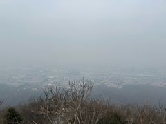 -紫金山山顶公园