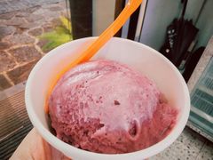-iceason爱茜茜里·意大利健康冰淇淋(骑龙巷店)