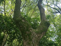 -杭州半山国家森林公园