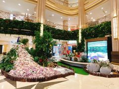 -上海月星家居(澳门路店)