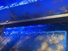 -奢谷·海鲜自助(南海万科店)