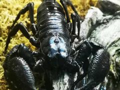 -成都浩海立方海洋公园