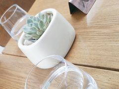 -LES ELITES 英集荟(南京西路店)