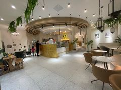 -猫域·湾主题猫咖·宠物吧(南坪城市广场店)