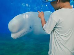 -泉城欧乐堡海洋极地世界