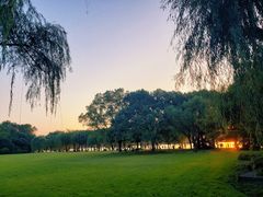 景点-柳浪闻莺公园