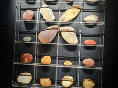 -金沙遗址博物馆