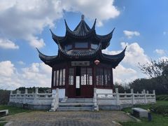 -上海海湾国家森林公园