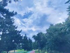 -羊亭河湿地公园