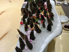 -西江印象酒楼