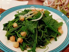清香南瓜尖-巴依老爷新疆美食(清华东门店)