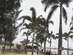 -汕尾风车岛
