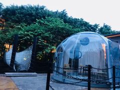 -大树头森林餐厅(番禺广场店)