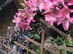 -园林美食城·本土农家菜(杨和镇店)