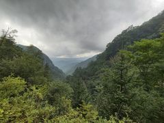 -牛背梁国家森林公园