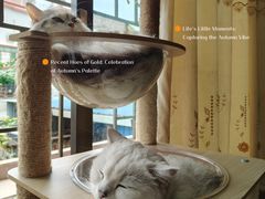 -番禺广场(市桥街道)