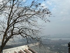 -灵顺寺