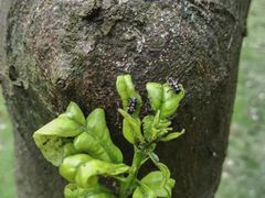 -白塘生态植物园