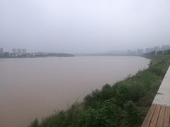 -张坝桂圆林公园