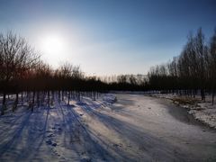 -东郊湿地公园