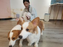 -浣熊柯尔鸭土拨鼠·电玩咖