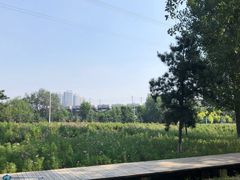 -长白岛森林公园