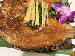 -紫滇源云南生态菜(丹凤街店)