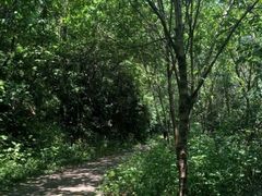 -青龙山国家森林公园