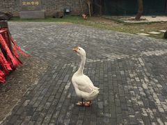 -南京市江宁方山