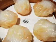 -金苑海鲜酒家(来魅力店)